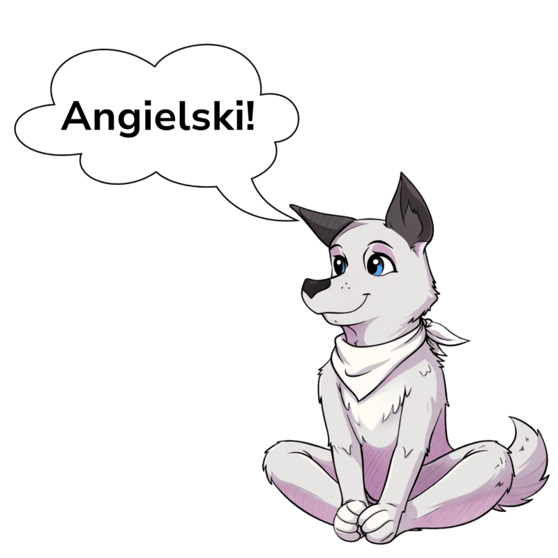 Angielski 1-3