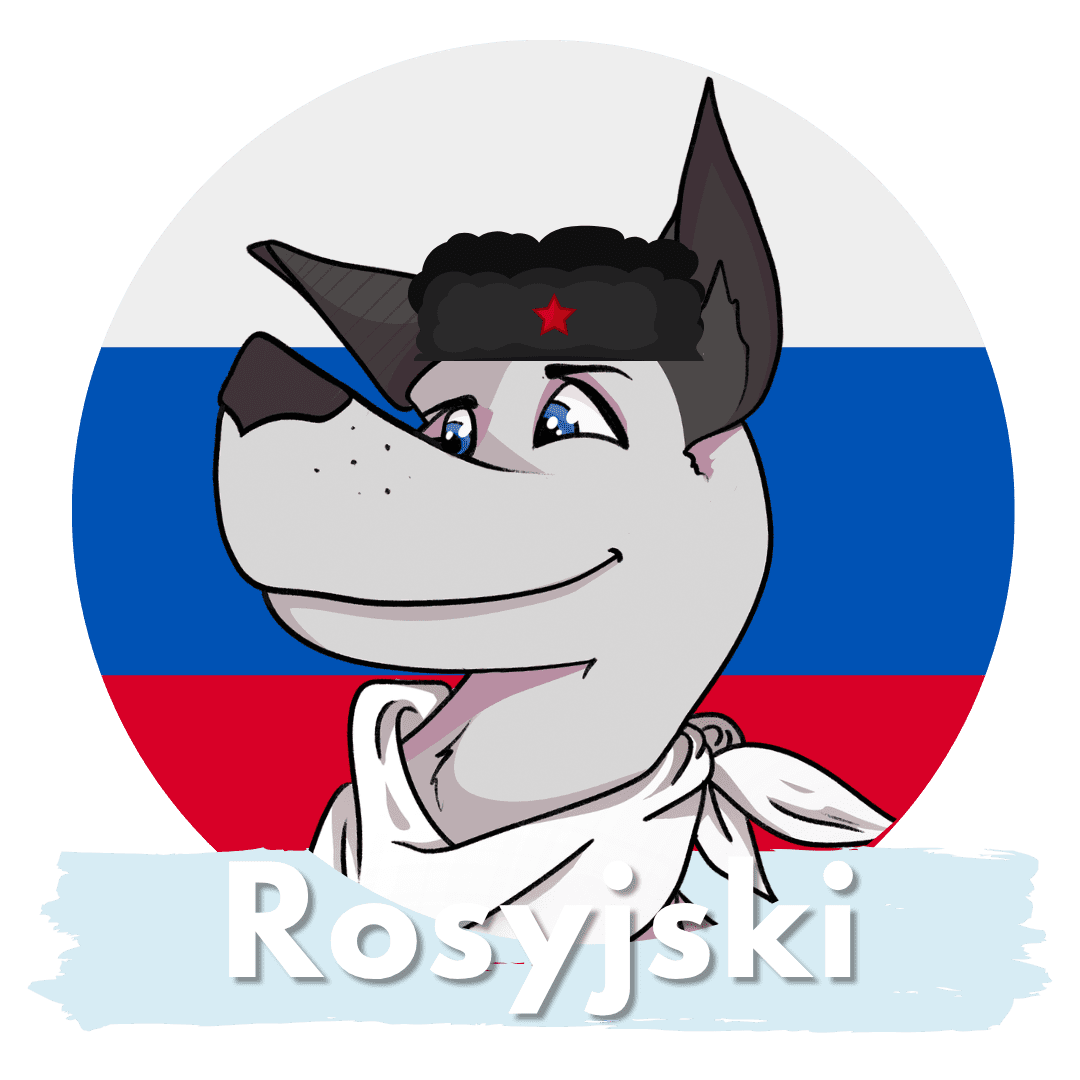 Kurs języka rosyjskiego Maków | nauka hiszpańskiego WhyKa